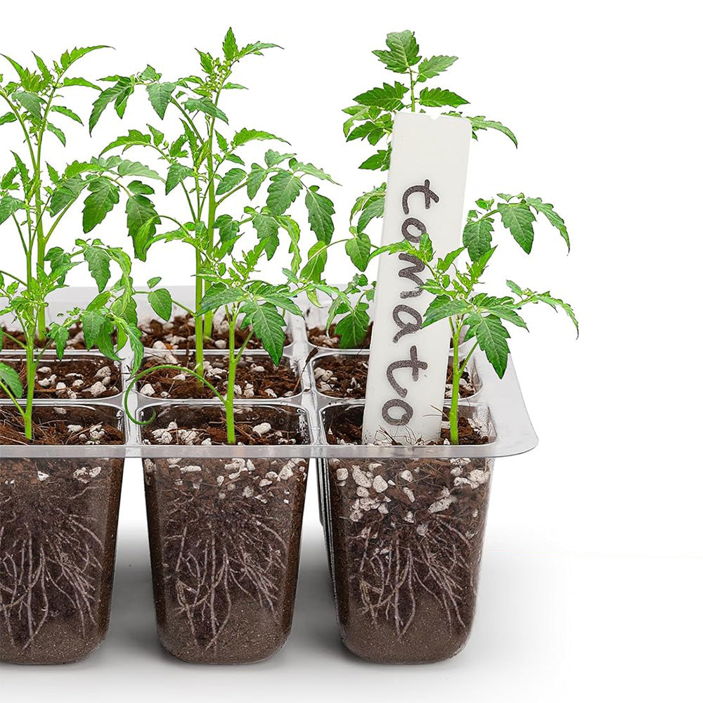 5Pcs Seed Trays 12 Cells Seed Starter Kit for Seeds Growing Starting