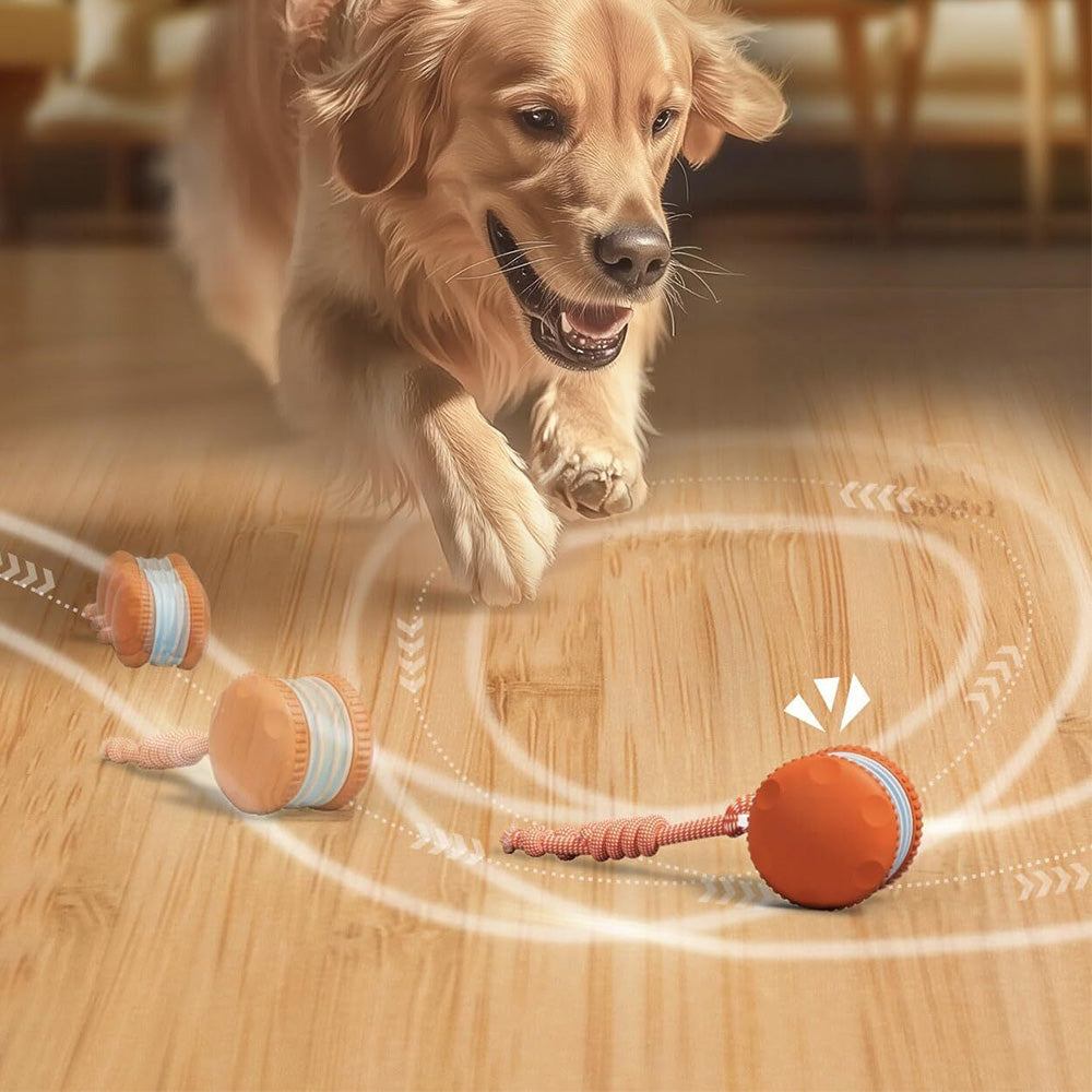 Interactive Pet Rolling Ball Toy Rechargeable Automatic Play Ball for Cats and Dogs-Orange