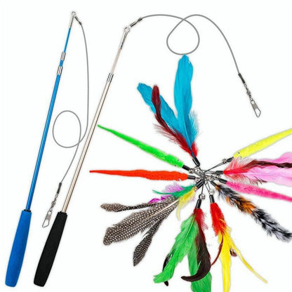 Cat Fishing Pole Toy Set Retractable Cat Wand and Feather Toys Interactive Kitten Toys