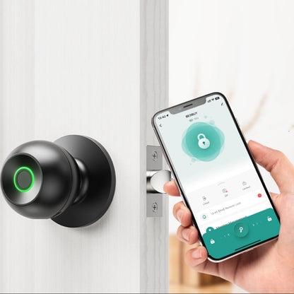 Smart Fingerprint Entry Door Lock Keyless Door Knob with Lock with App Control