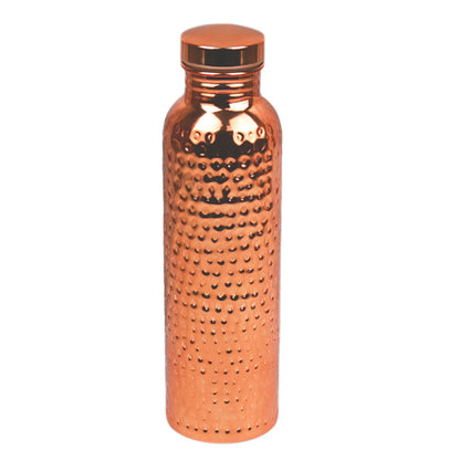 800ml Stainless Steel Water Bottle with Brush and Bag