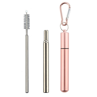 2 Piece Collapsible Stainless Steel Travel Straws with Cases - Rose Gold