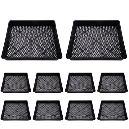 10 Piece 42cm Square Fine Hole Seedling Trays for Propagation