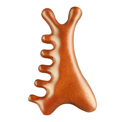 4-in-1 Gua Sha Tool for Face Body Head Massage Comb