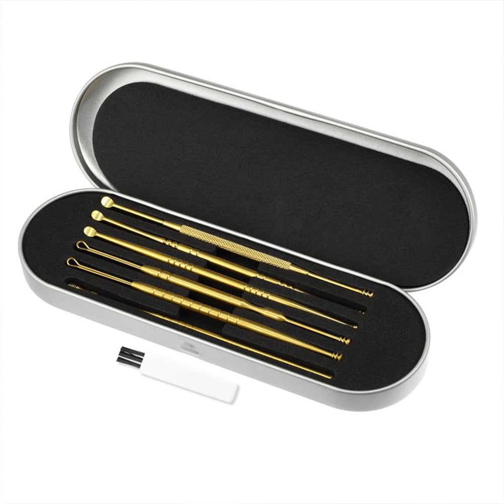6Pcs Stainless Steel Ear Cleansing Tool Set Ear Cleaner Ear Care Set with Storage Case -Gold