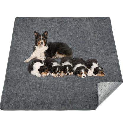 Coral Fleece Washable Dog Mat ââ‚?Non-Slip Reusable Pee Pad for Pets
