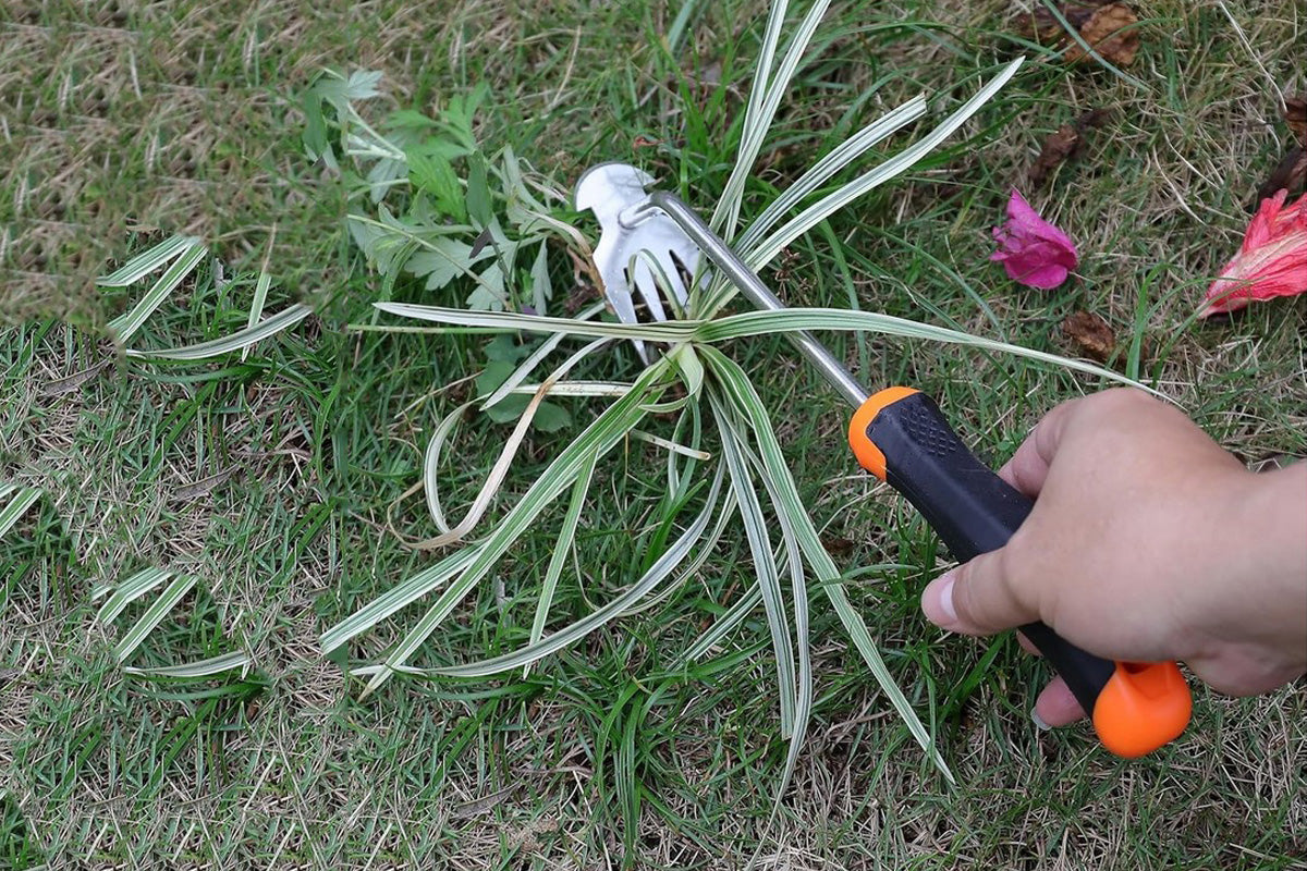 Garden Weed Pulling Tool Garden Weeder Tool Uprooting Weeding Tool for Vegetable