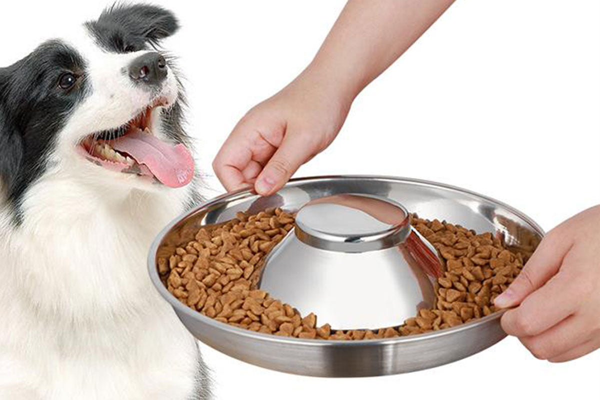 Stainless Steel Pet Feeder Bowl Dog Slow Food Bowl