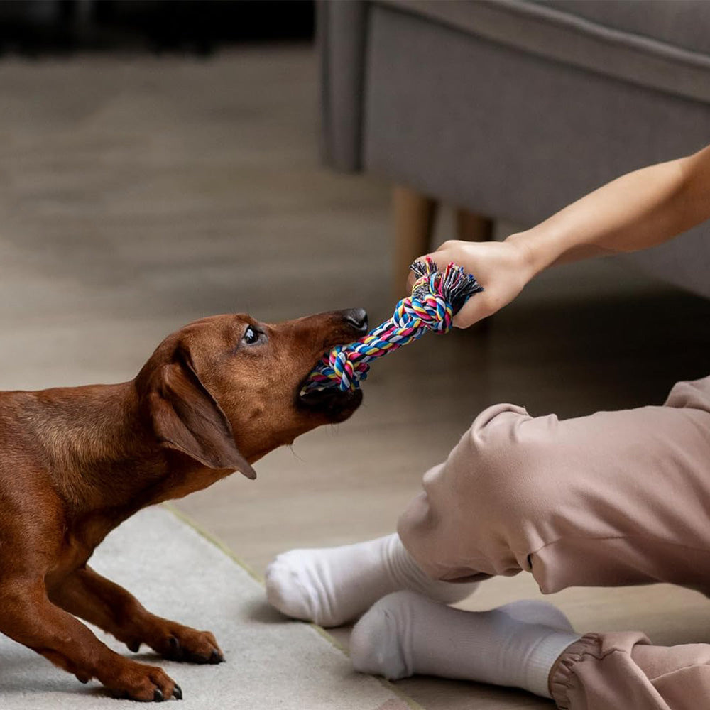 2Pcs Puppy Teething Rope Toys for Small Dogs Interactive Cotton Teething Ropes