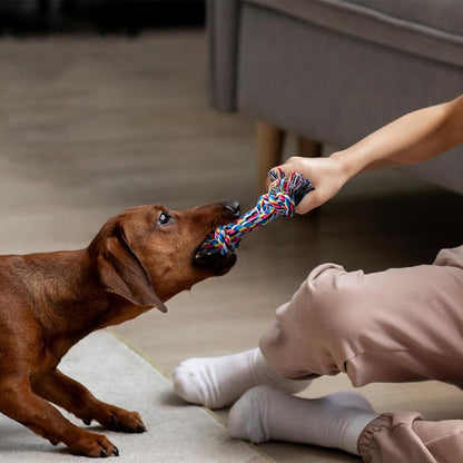 2Pcs Puppy Teething Rope Toys for Small Dogs Interactive Cotton Teething Ropes