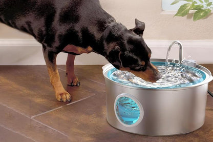 Stainless Steel Cat Water Fountain 3.2L Quiet Cat Fountain for Pets Small Animals