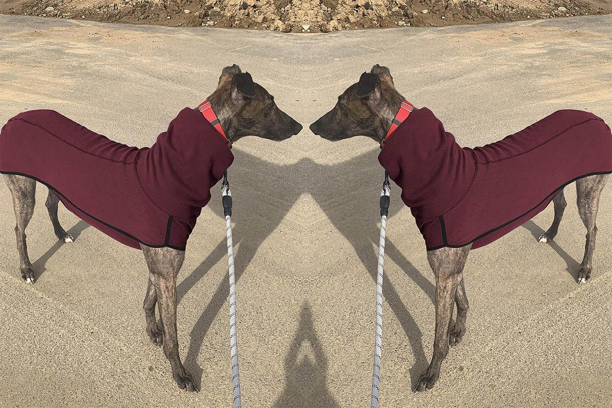 Dog Jumper Fleece Vest Sweater Stretch Sweatshirt - Wine Red