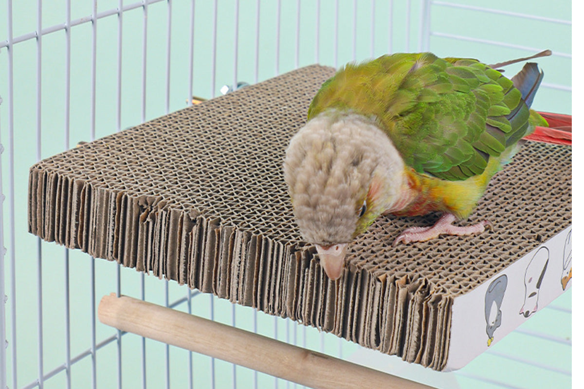 Parrot Toys Bird Perch Stand Cardboard Anti-bite Hair Grinding Pad Bird Cage Accessories