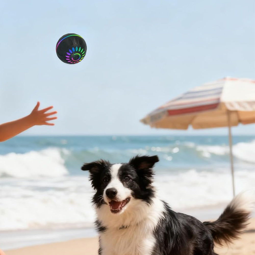 Interactive Dog Ball Toy Smart Moving Bouncing Dog Ball with LED Lights for Dogs Puppies-Black