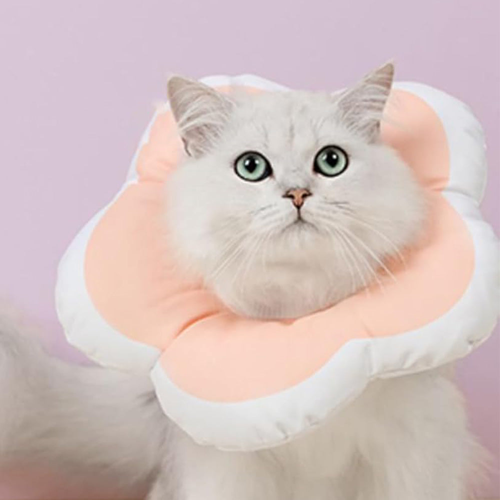 Cat Cone Collar Elizabethan Collar Anti-Bite Lick Cat Recovery Neck Collar Orange