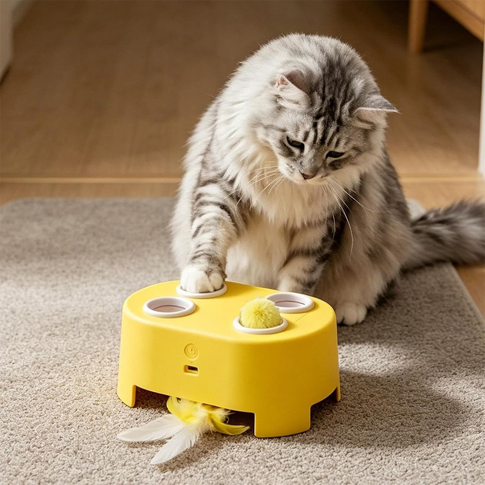 3 in 1 Automatic Electric Cat Teaser Wand Toy
