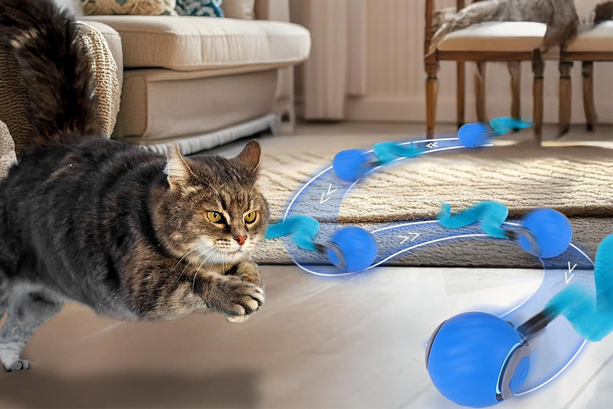 Interactive Cat Toy Ball Automatic Cat Toys Indoor Cats with 3 Tails -Blue