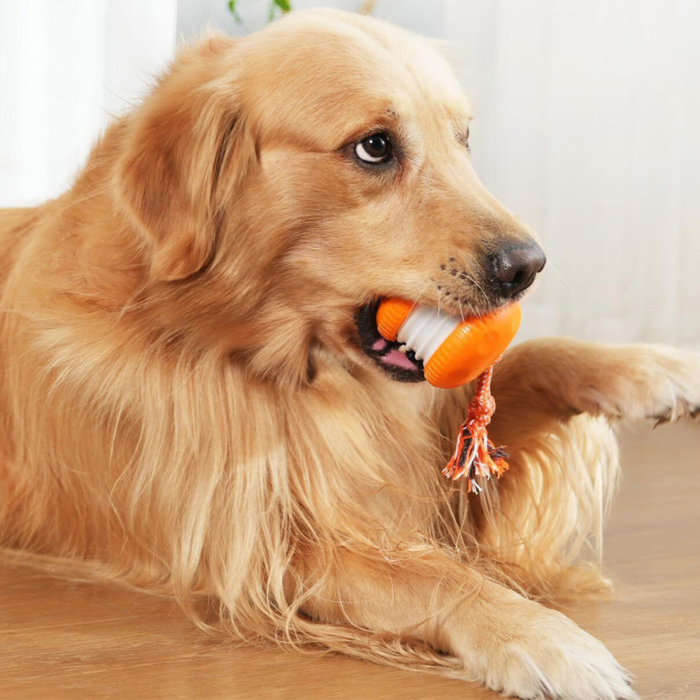 Interactive Pet Rolling Ball Toy Rechargeable Automatic Play Ball for Cats and Dogs-Orange