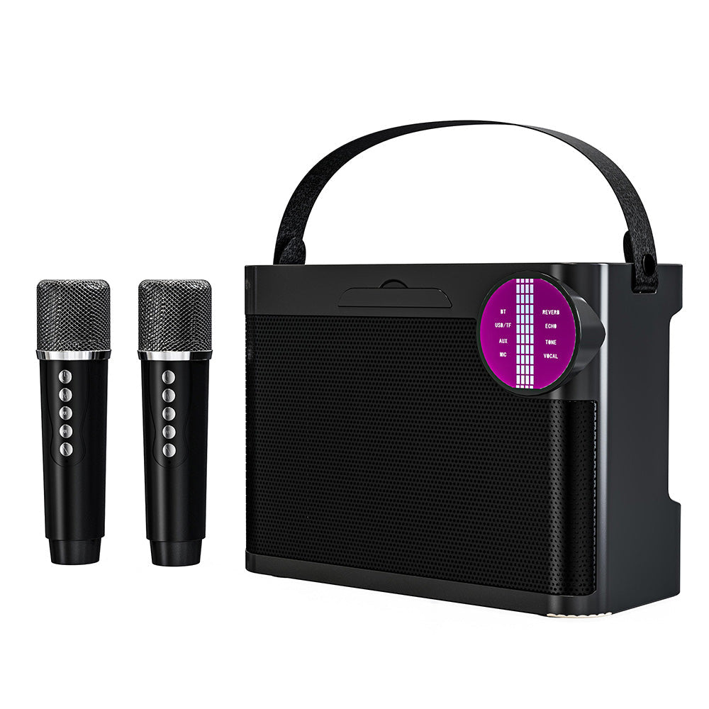 Portable Bluetooth 5.3 Speaker with 2 Wireless Microphones Home Karaoke Speaker Machine Black