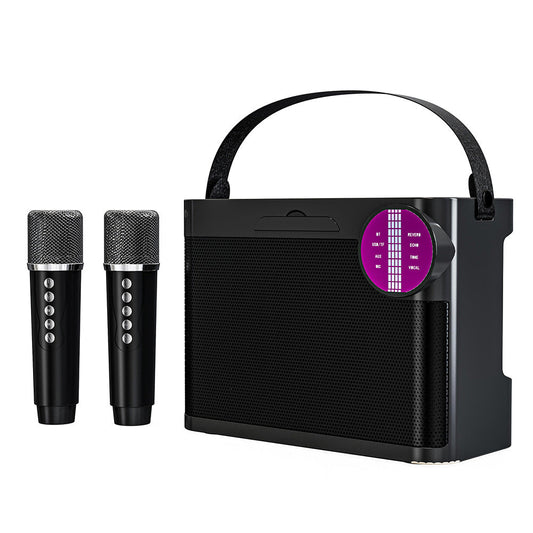 Portable Bluetooth 5.3 Speaker with 2 Wireless Microphones Home Karaoke Speaker Machine Black