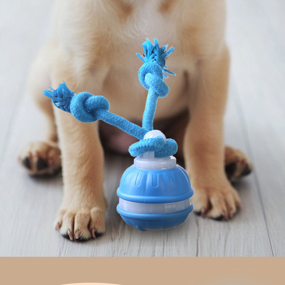 2Pcs Interactive Rolling Dog Ball Toys Touch Activated Squeaky Dog Toy with Rope for Small Dogs Puppy
