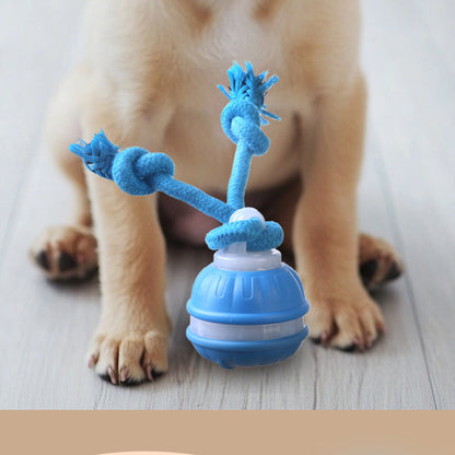 2Pcs Interactive Rolling Dog Ball Toys Touch Activated Squeaky Dog Toy with Rope for Small Dogs Puppy