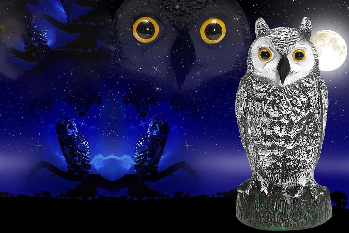 Large Fake Owl Decoy to Scare Birds Away Garden Bird Deterrents for Outside -White