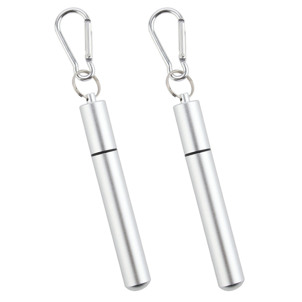 2 Piece Collapsible Stainless Steel Travel Straws with Cases - Silver
