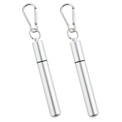 2 Piece Collapsible Stainless Steel Travel Straws with Cases - Silver