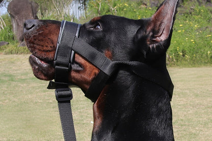 Adjustable Dog Head Collar with Padded Nose Loop for Training