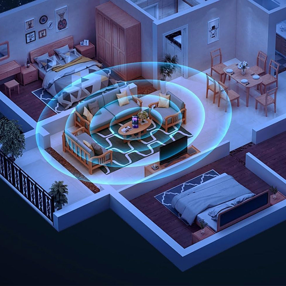 Indoor Fruit Fly Trap Gnat Killer Traps for Flies & Gnats in the Home