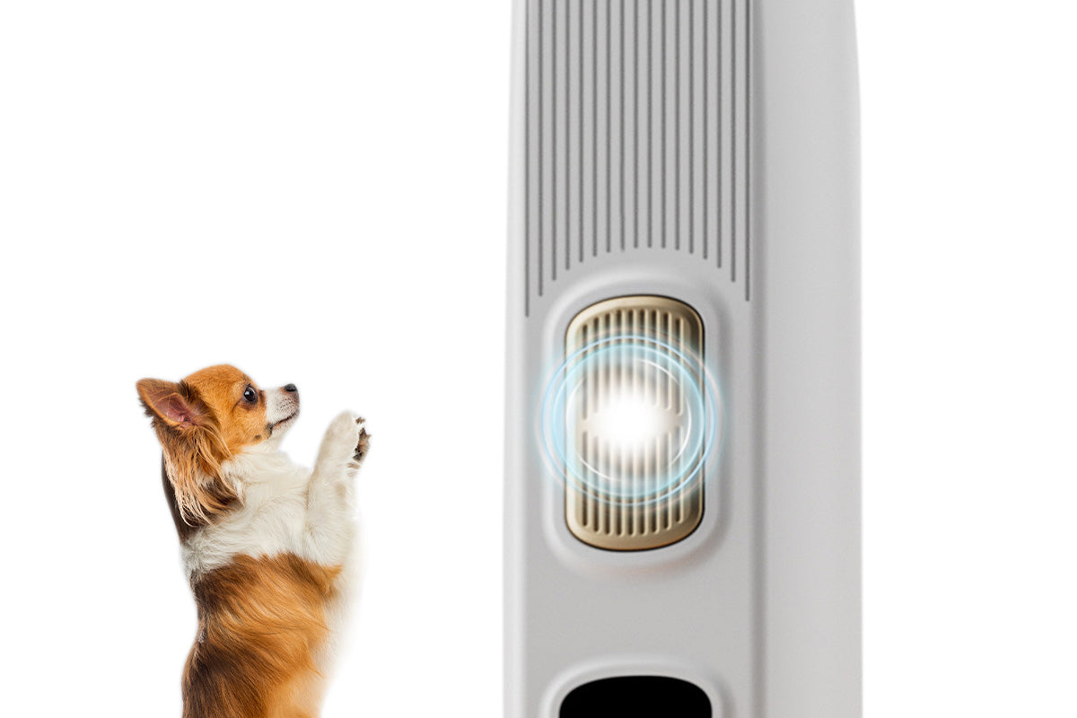 Electric Dog Paw Trimmer with LED Light Digital Display Dual Speed Pet Groomer-White