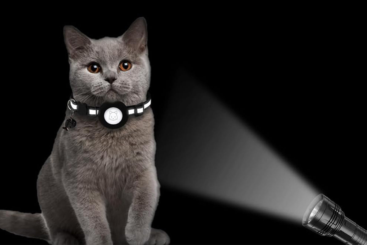 Adjustable Cat Collar Compatible with Apple Airtag - Black