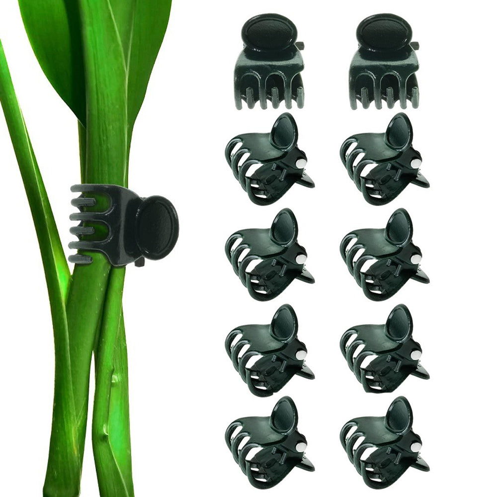 Plant Support Stake Set Plant Support Poles Orchid Clips Plant Ties for Climbing Indoor Outdoor Plants