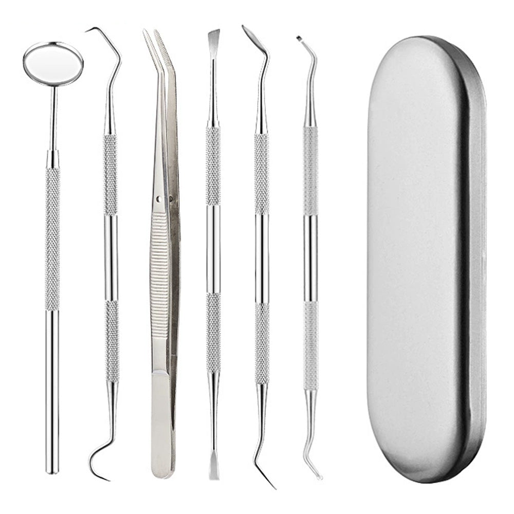 Professional Dental Tool Kit 6 Piece Stainless Steel Oral Care Set Silver