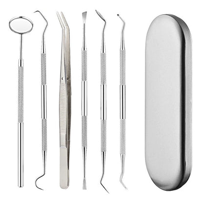 Professional Dental Tool Kit 6 Piece Stainless Steel Oral Care Set Silver