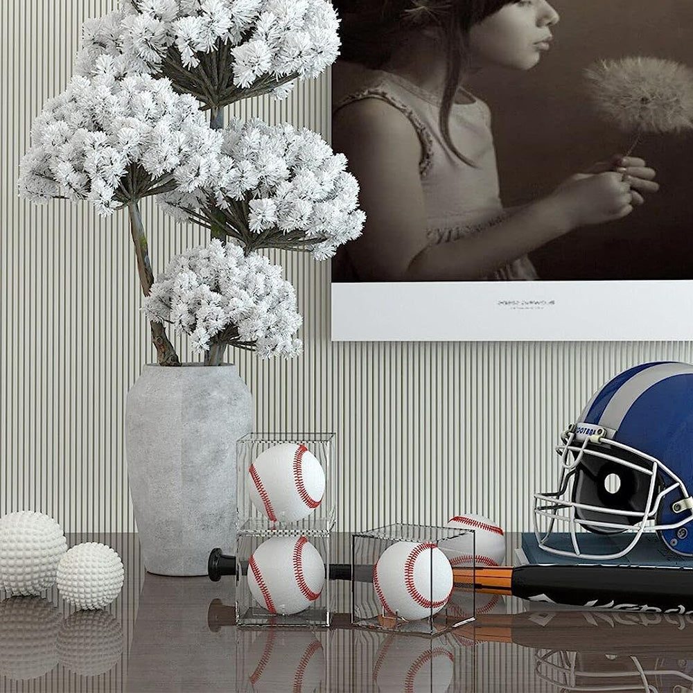 2Pcs Clear Baseball Display Case Cube Shape Acrylic Baseball Storage Box