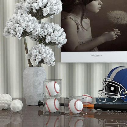 2Pcs Clear Baseball Display Case Cube Shape Acrylic Baseball Storage Box