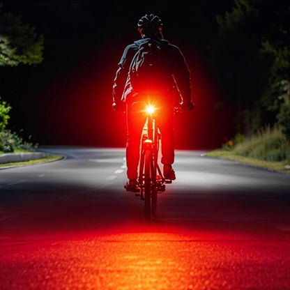 Smart Brake Sensing Bike Tail Light ââ‚?USB Rechargeable Safety Lamp