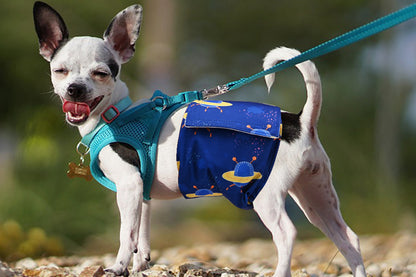3Pcs Washable Male Dog Diapers with Adjustable Belly Bands