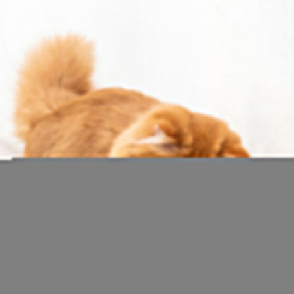 Electric Automatic Rolling Chase Ball Toy Interactive Cat Ball Toy Yellow