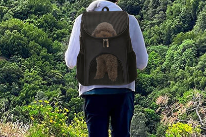 Portable Travel Ventilated Design Breathable Pet Carrier Backpack For Dog And Cat-Black