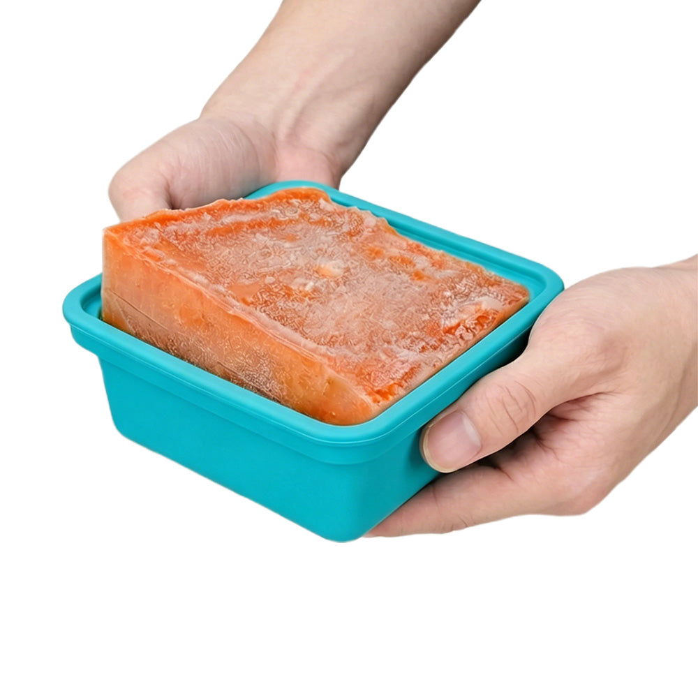 4Pcs Silicone Freezer Tray for Soup Ice Cubes Food Storage Portion Control-Blue and Green