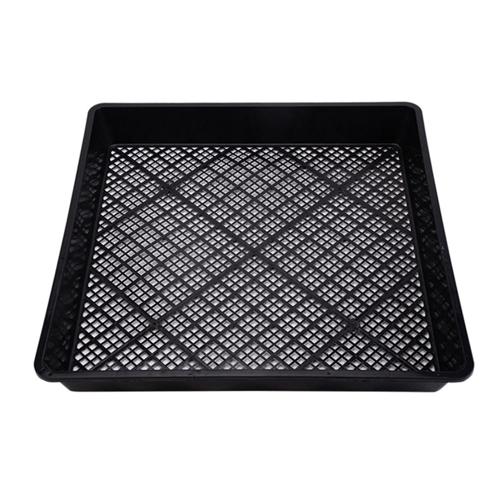 10 Piece 42cm Square Fine Hole Seedling Trays for Propagation