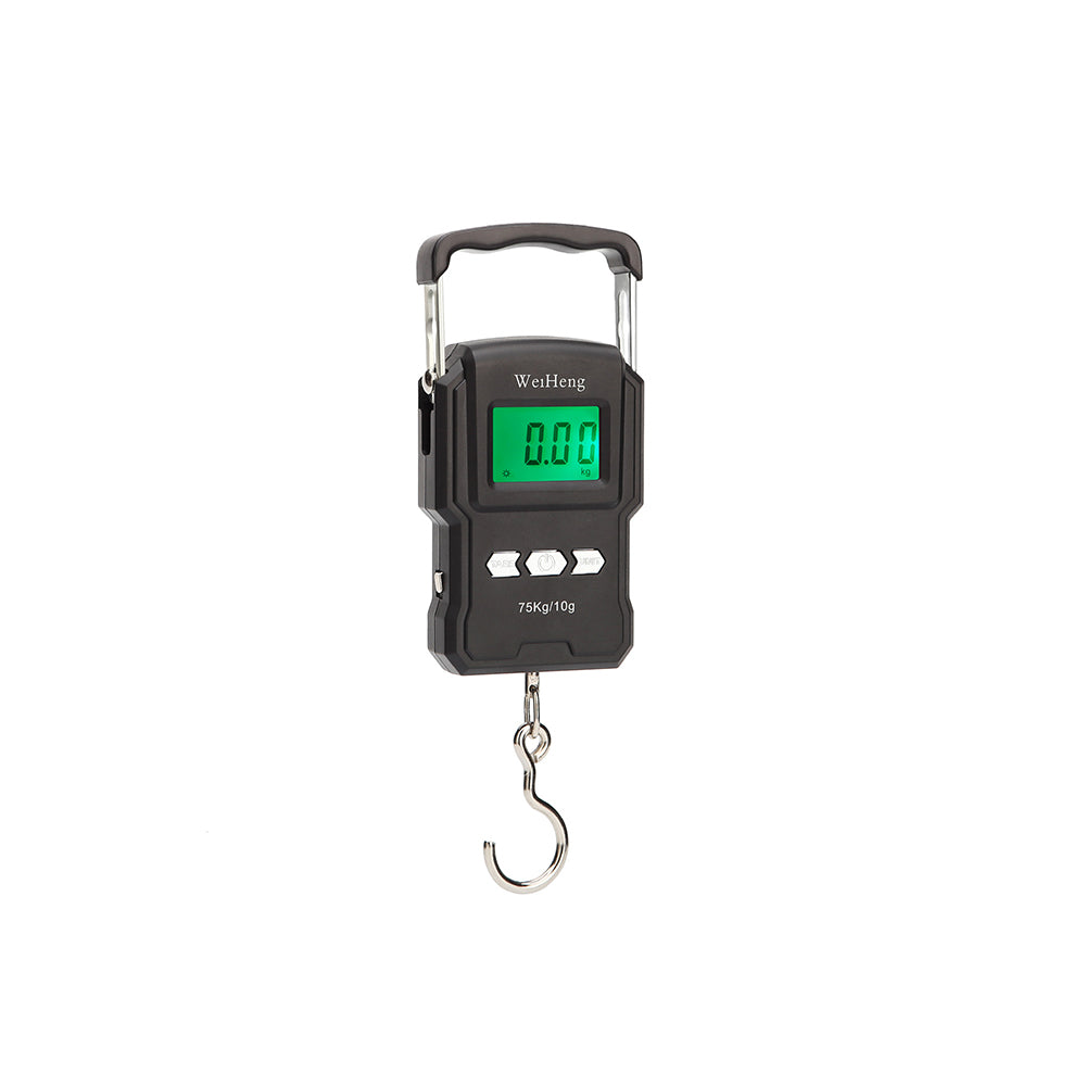 50kg Mini Portable Electronic Crane Scale Digital Vegetable Weighing Hook Scale
