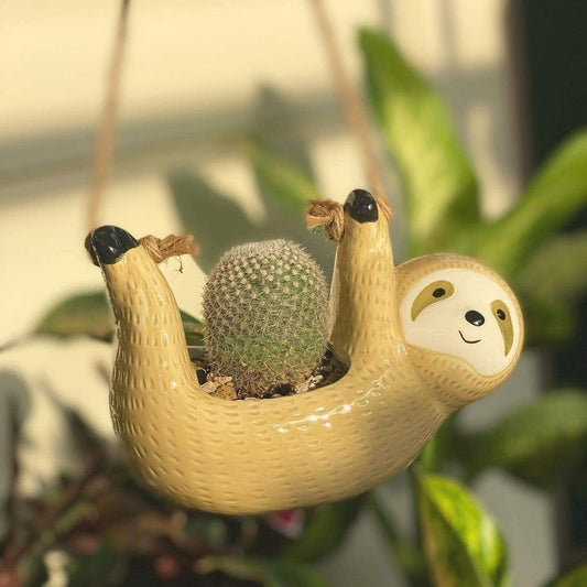 Sloth Hanging Planters Pots Cute Wall Planter Succulent Air Plants Cactus Ceramic Flower Pot-Yellow