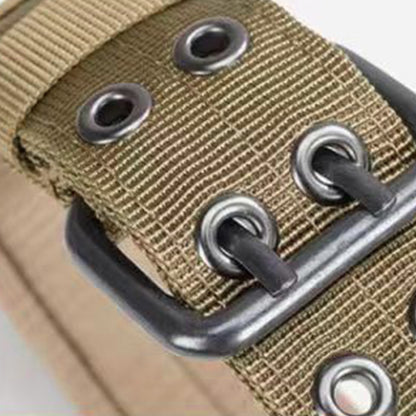 Adjustable Padded Nylon Dog Collar and Leash Set for Large Dogs - Khaki