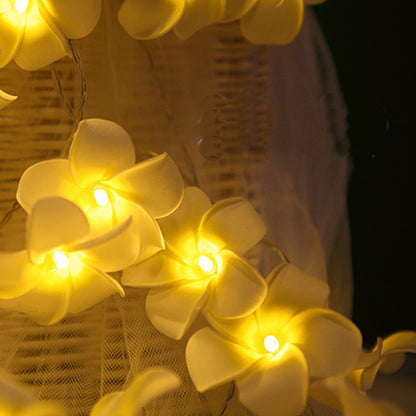 5M 20LEDs 6.5M 30LEDs Sloar String Light Lemon Decor Fairy String Lights