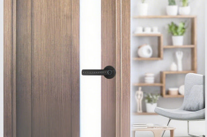 5 in 1 Smart Door Lock Fingerprint Door Knob with IC Cards and Backup Keys -Black