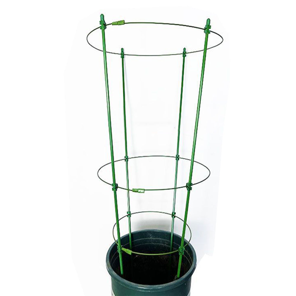 Adjustable Steel Tomato Plant Cage Climbing Trellis Support for Vegetables and Flowers